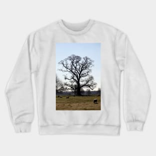 The Old Tree Crewneck Sweatshirt